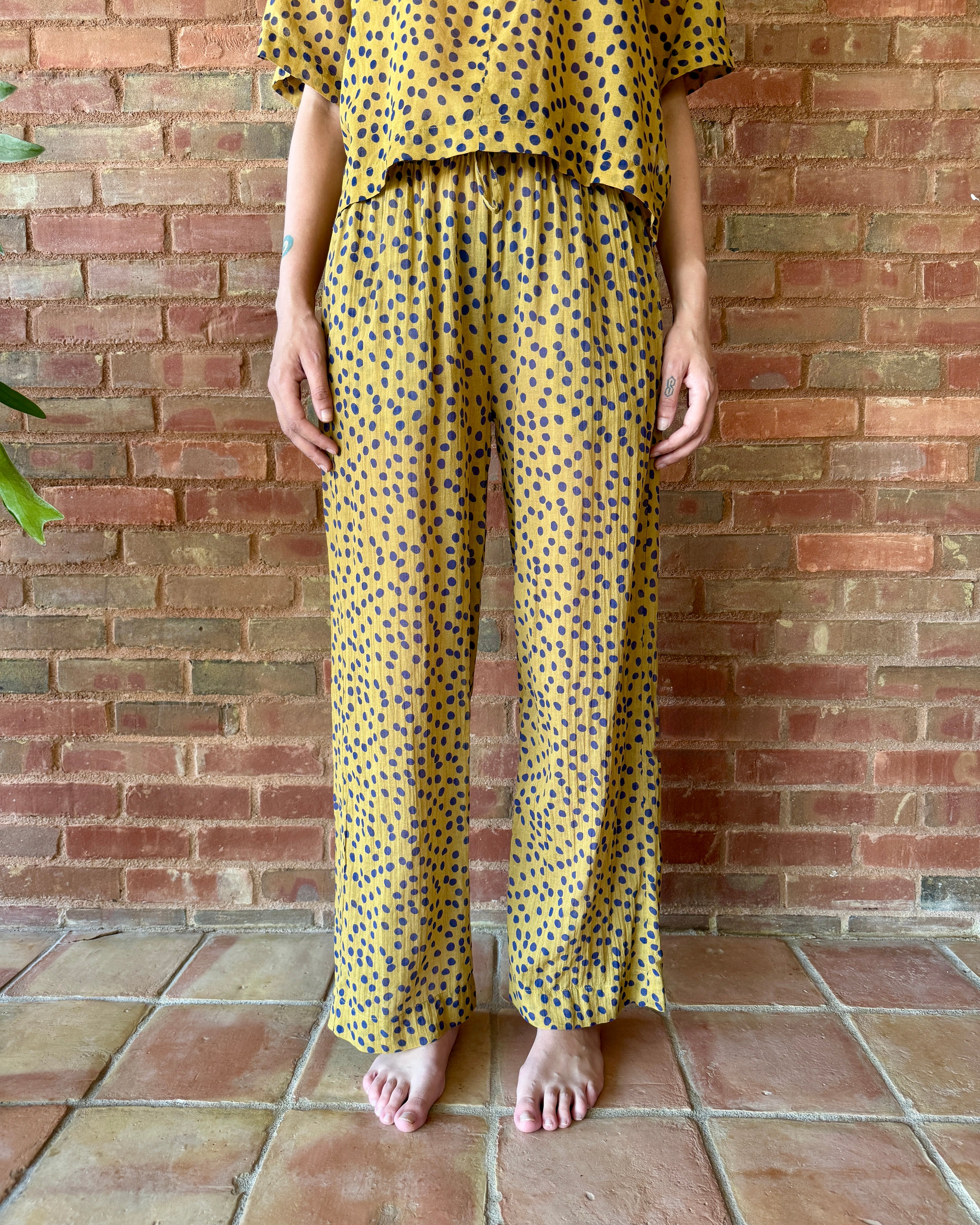 HOD Paris Poppy Pant - Polka Honey Women's Bottoms - Sloane Boutique