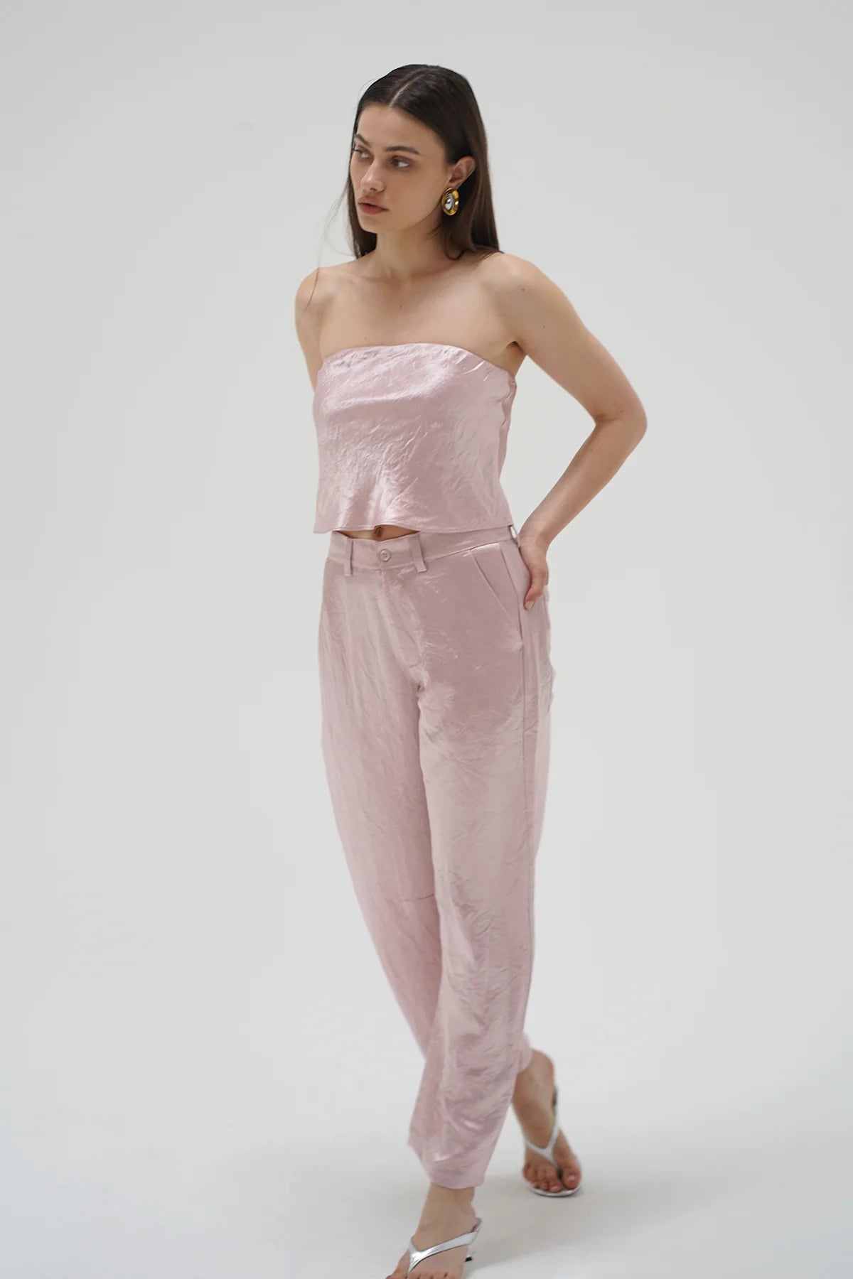 LnA Roxy Shine Tube Top - Rosewater Shine Women's Tops - Sloane Boutique
