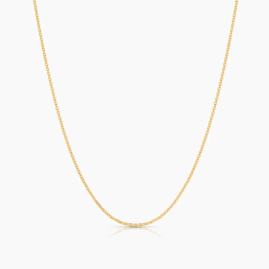 Thatch Rae Cable Chain Necklace - Gold Jewelry - Sloane Boutique