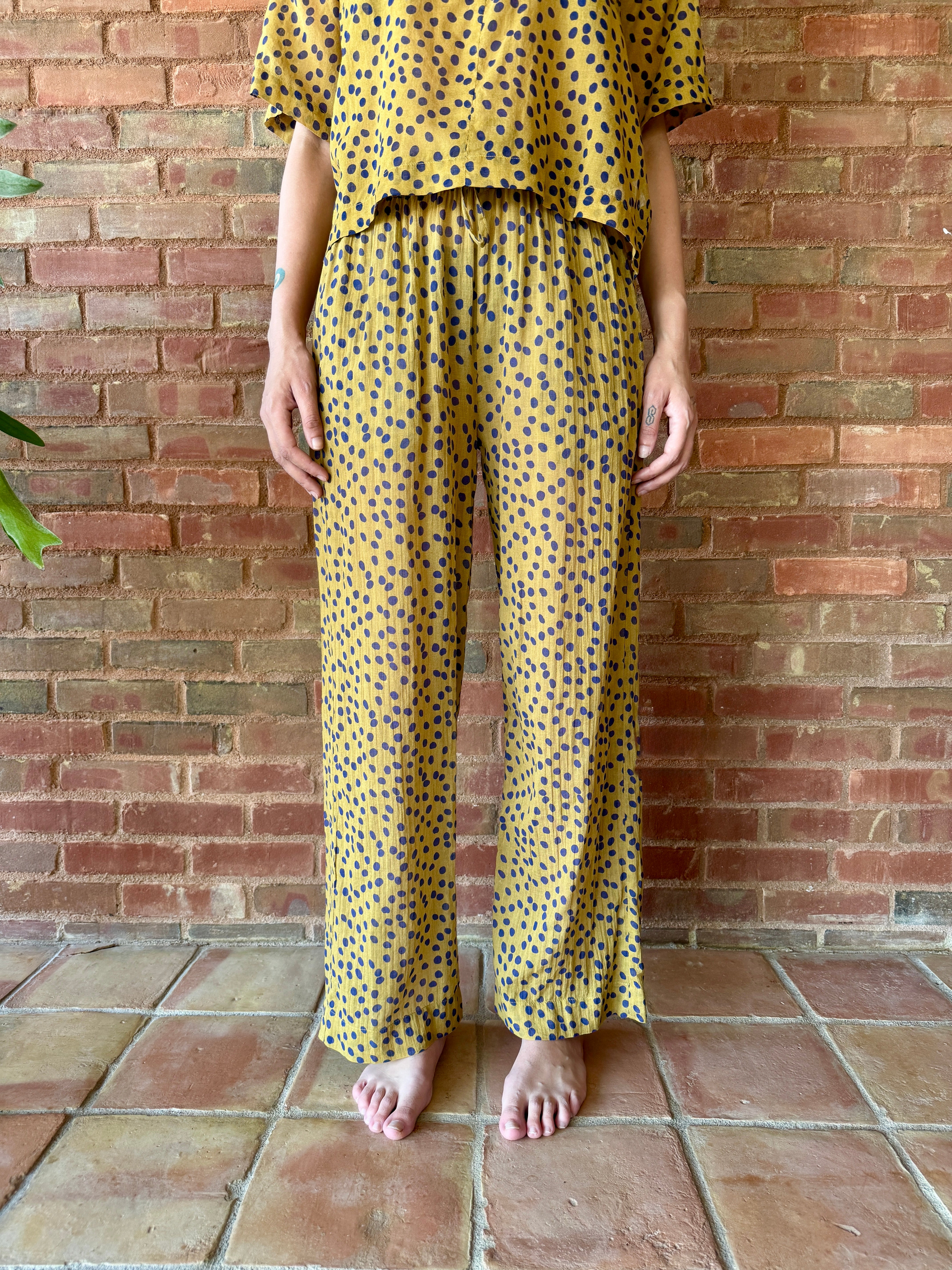 HOD Paris Poppy Pant - Polka Honey Women's Bottoms - Sloane Boutique